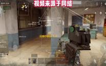 召唤小蝌蚪  1.0.0